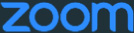 Zoom Icon