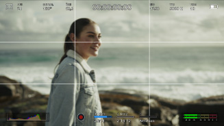 Grid