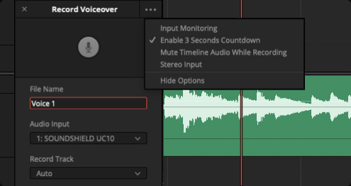 Voice Over Palette and Features